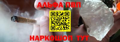 гидра Славгород