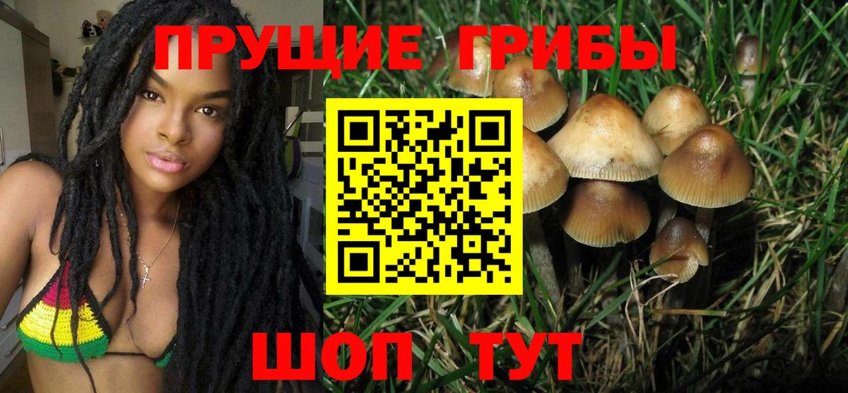 Псилоцибиновые грибы ЛСД  Вход с VPN  Нижнекамск 