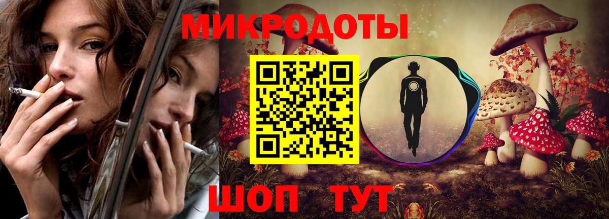 Галлюциногенные грибы Psilocybine cubensis Нижнекамск