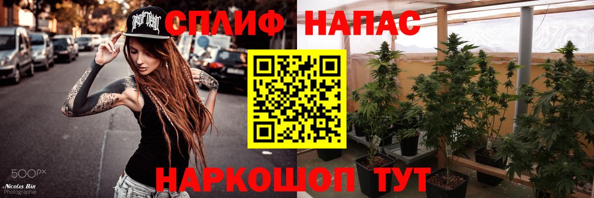 Канабис гибрид Нижнекамск